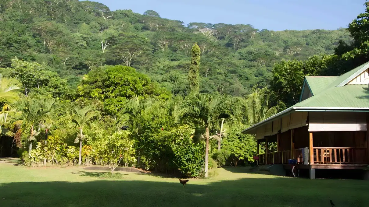 Embrace the Seychelles experience at our self-catering island bungalows, where tranquility and natural beauty await your arrival.
