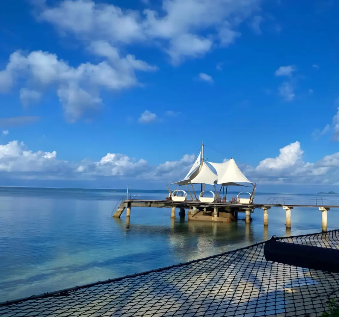 Named after the abundant Coco de Mer Palm tree, we offer a unique and unforgettable experience.