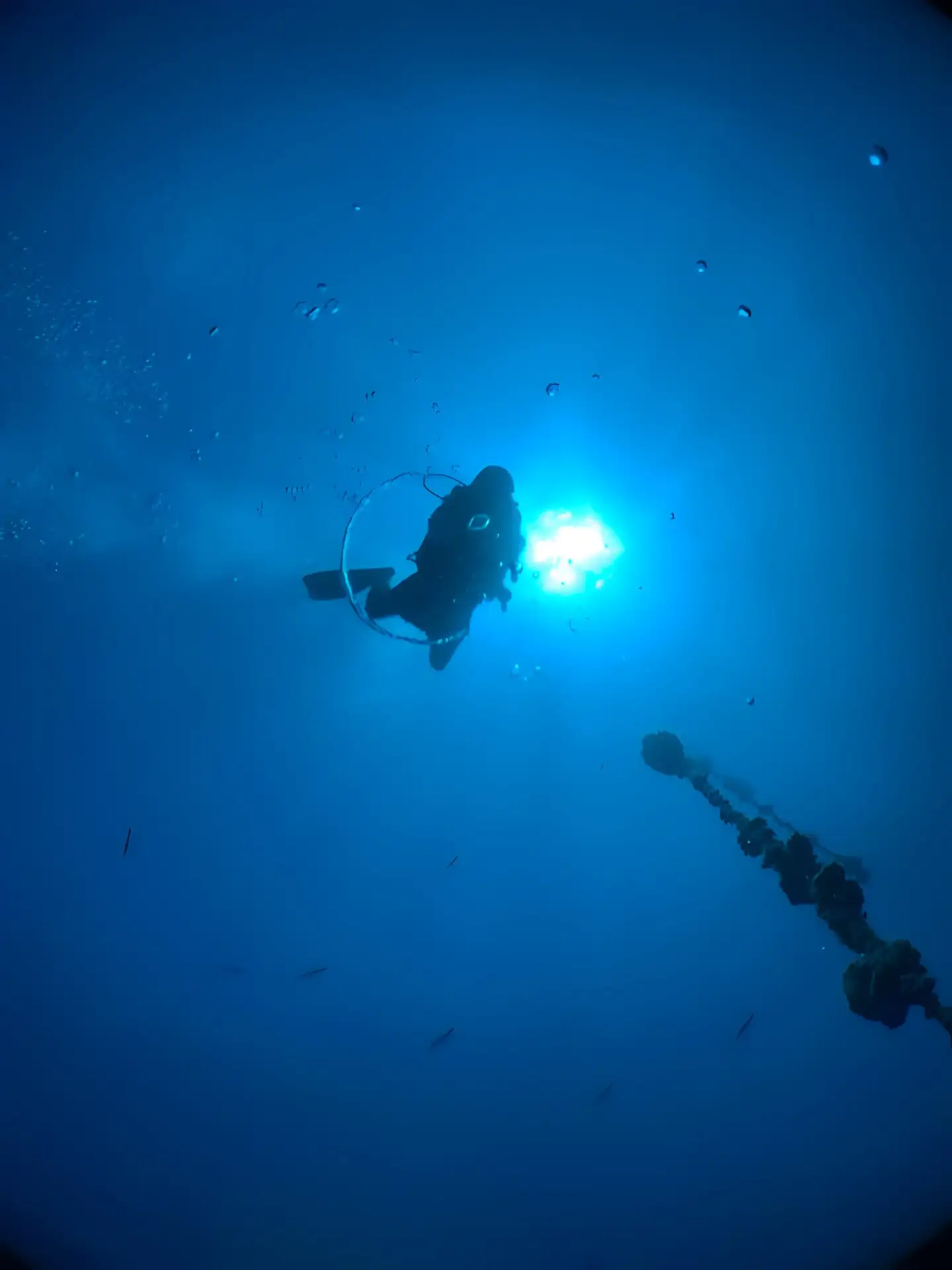 At Blue Sea Divers, we prioritize exceptional, safe diving experiences.