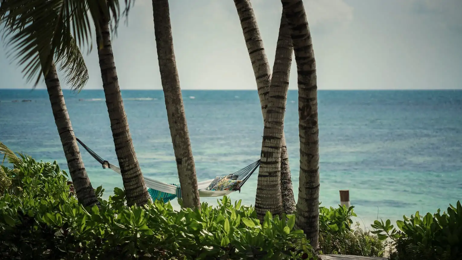 Indulge in the allure of our intimate rustic villas and suites, each serving as a private retreat that will transport you into the enchanting world of a fortunate castaway here at Four Seasons Resort at Desroches Island.