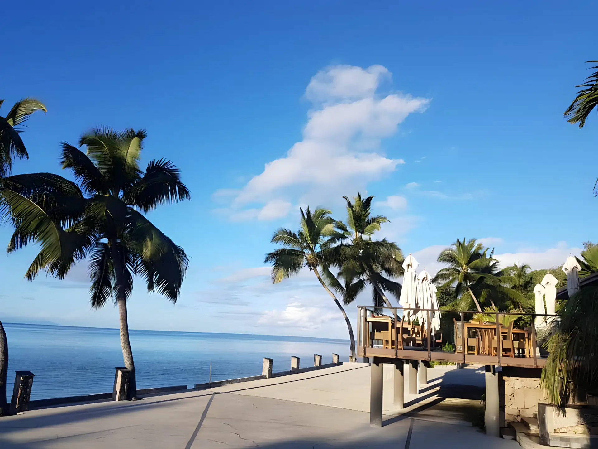 Named after the abundant Coco de Mer Palm tree, we offer a unique and unforgettable experience.