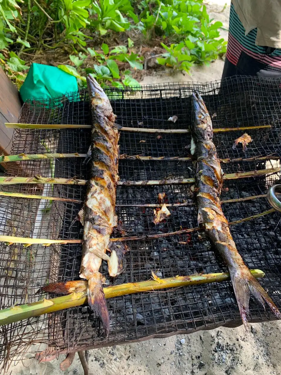 Fresh from the grill. Local barracudas.