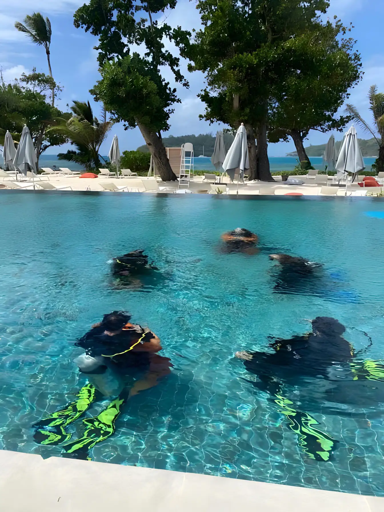 At Blue Sea Divers, we prioritize exceptional, safe diving experiences.