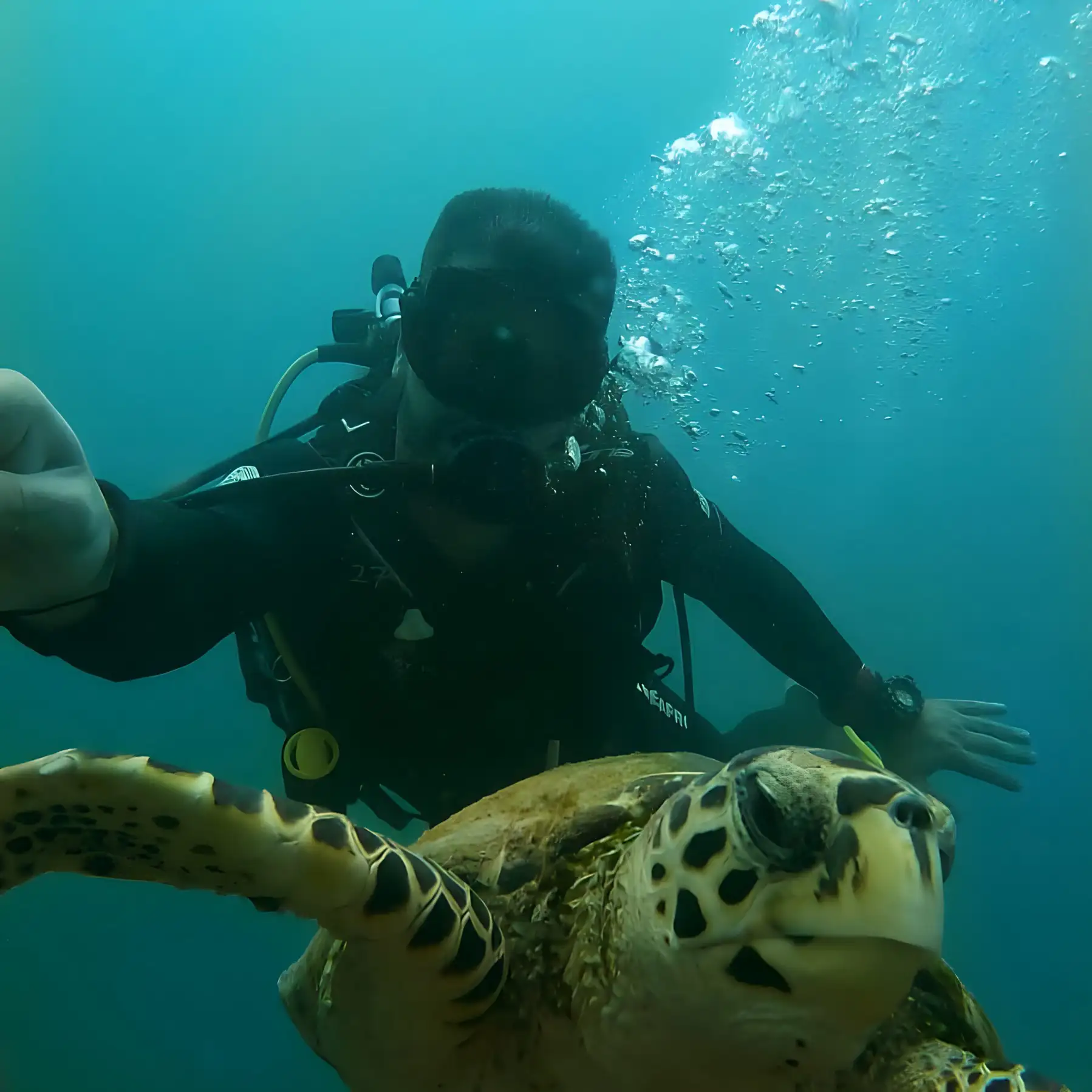 Dive Seychelles Underwater Centre Diving Experience