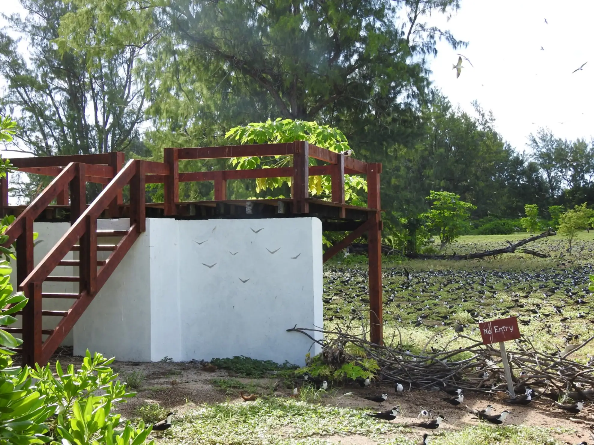 Experience the Seychelles like a true islander with our self-catering villas, providing an authentic and immersive stay.