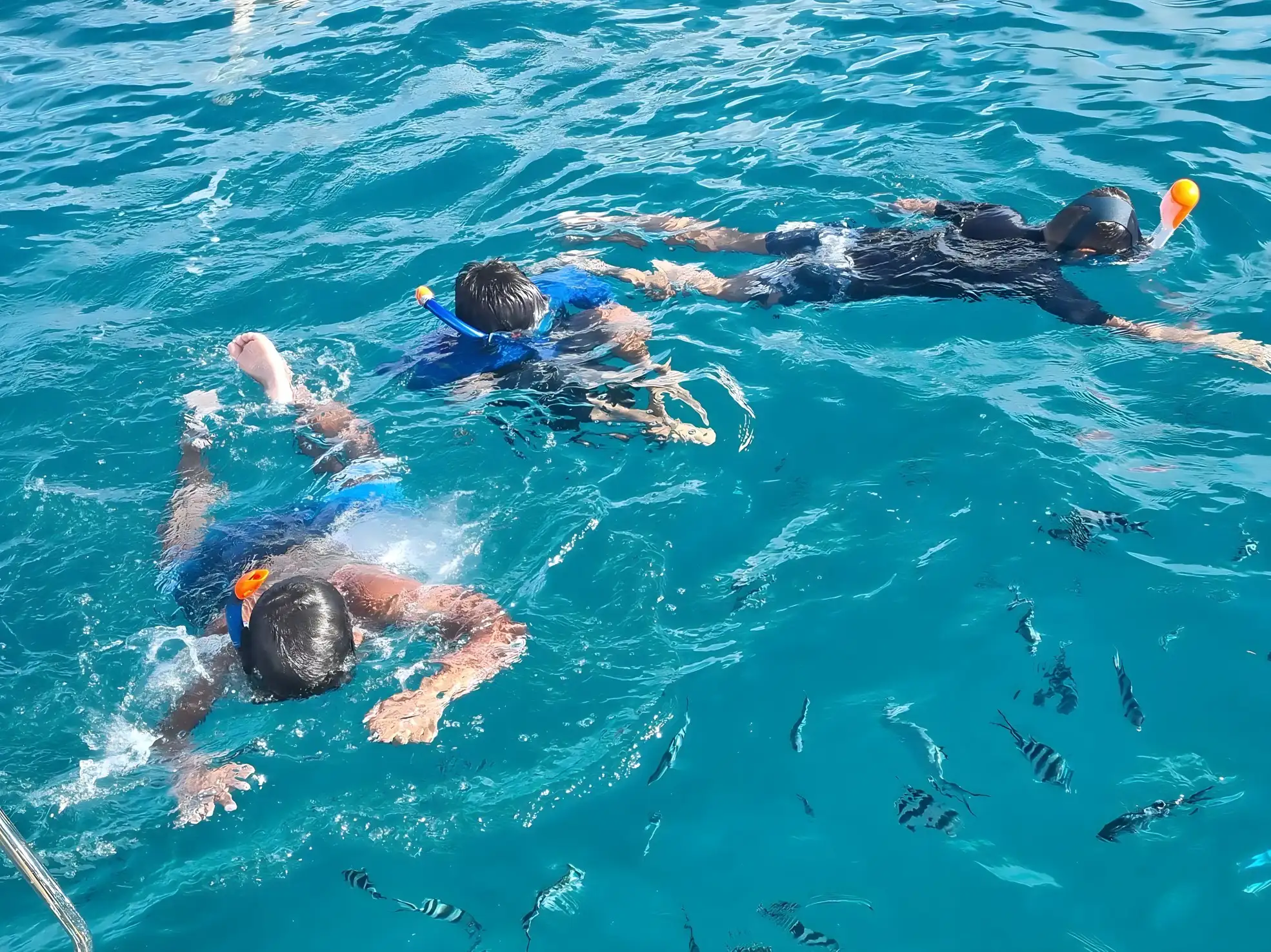 Experience the breathtaking beauty of this island paradise, its pristine waters, and diverse marine life with Angel Tours.