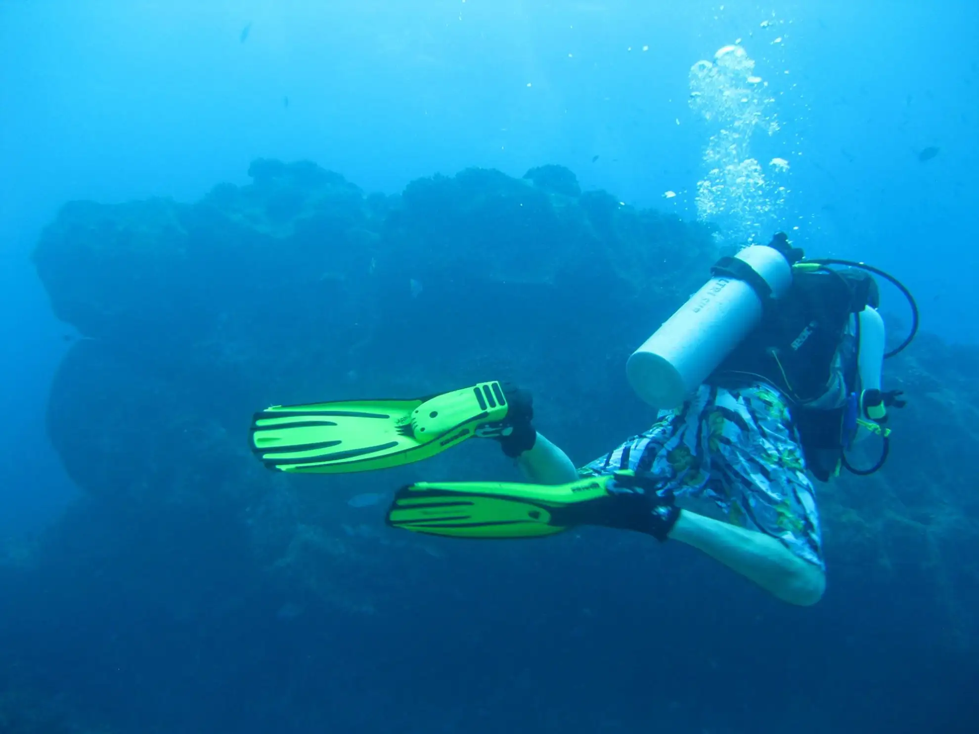 At Blue Sea Divers, we prioritize exceptional, safe diving experiences.