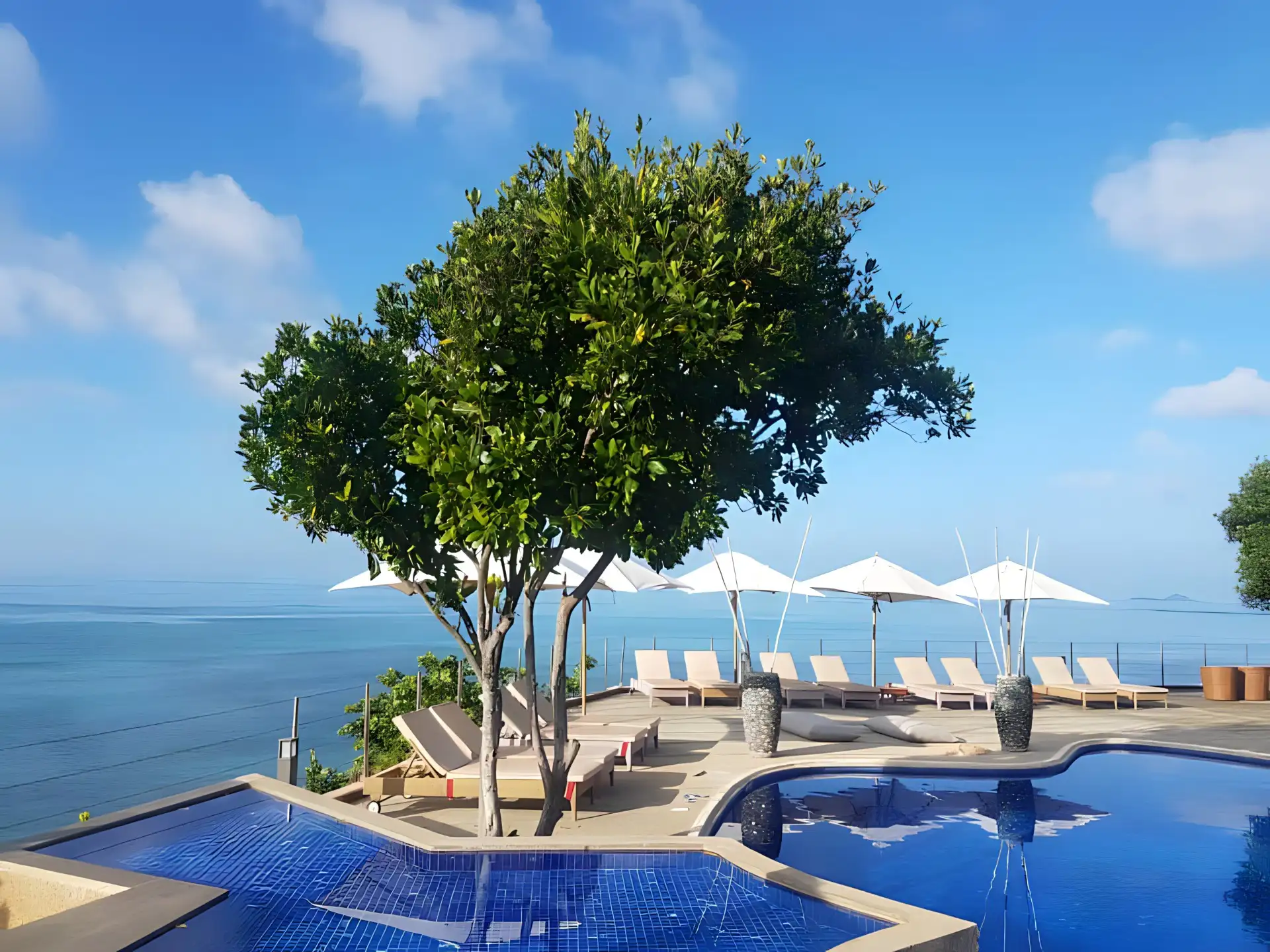 Named after the abundant Coco de Mer Palm tree, we offer a unique and unforgettable experience.