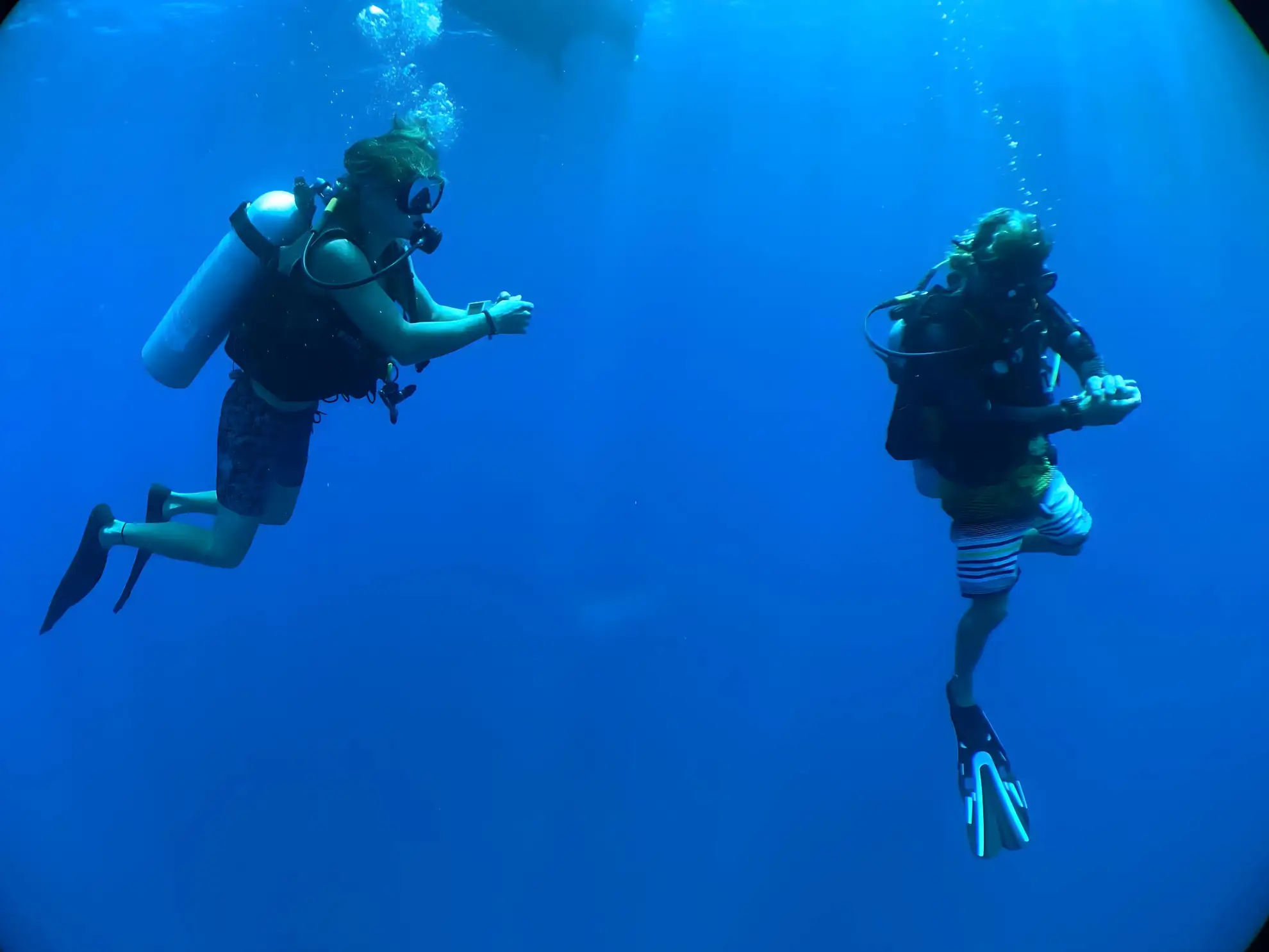 At Blue Sea Divers, we prioritize exceptional, safe diving experiences.