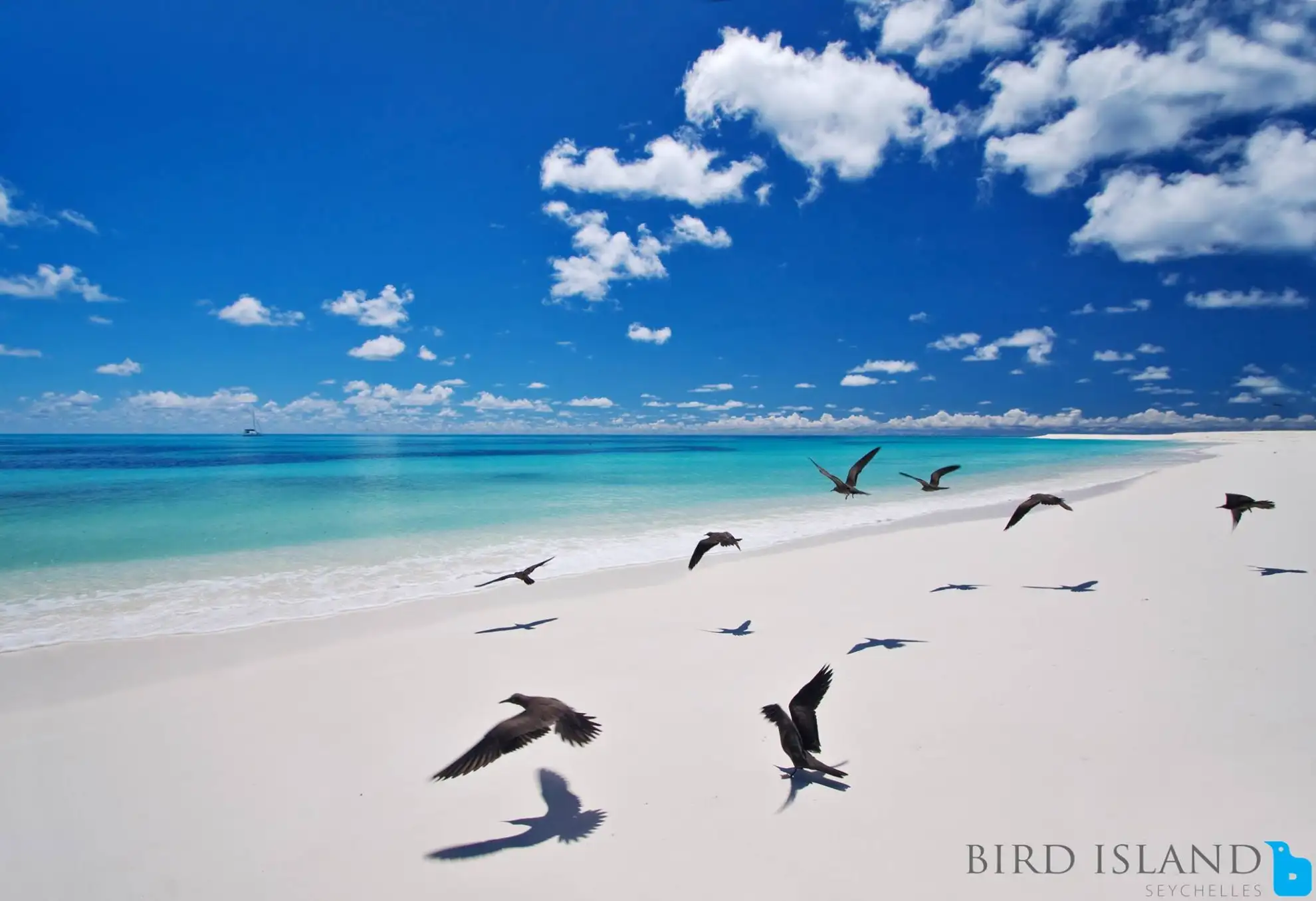 Experience the Seychelles like a true islander with our self-catering villas, providing an authentic and immersive stay.