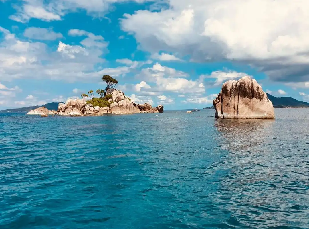 Amazing nature of Seychelles