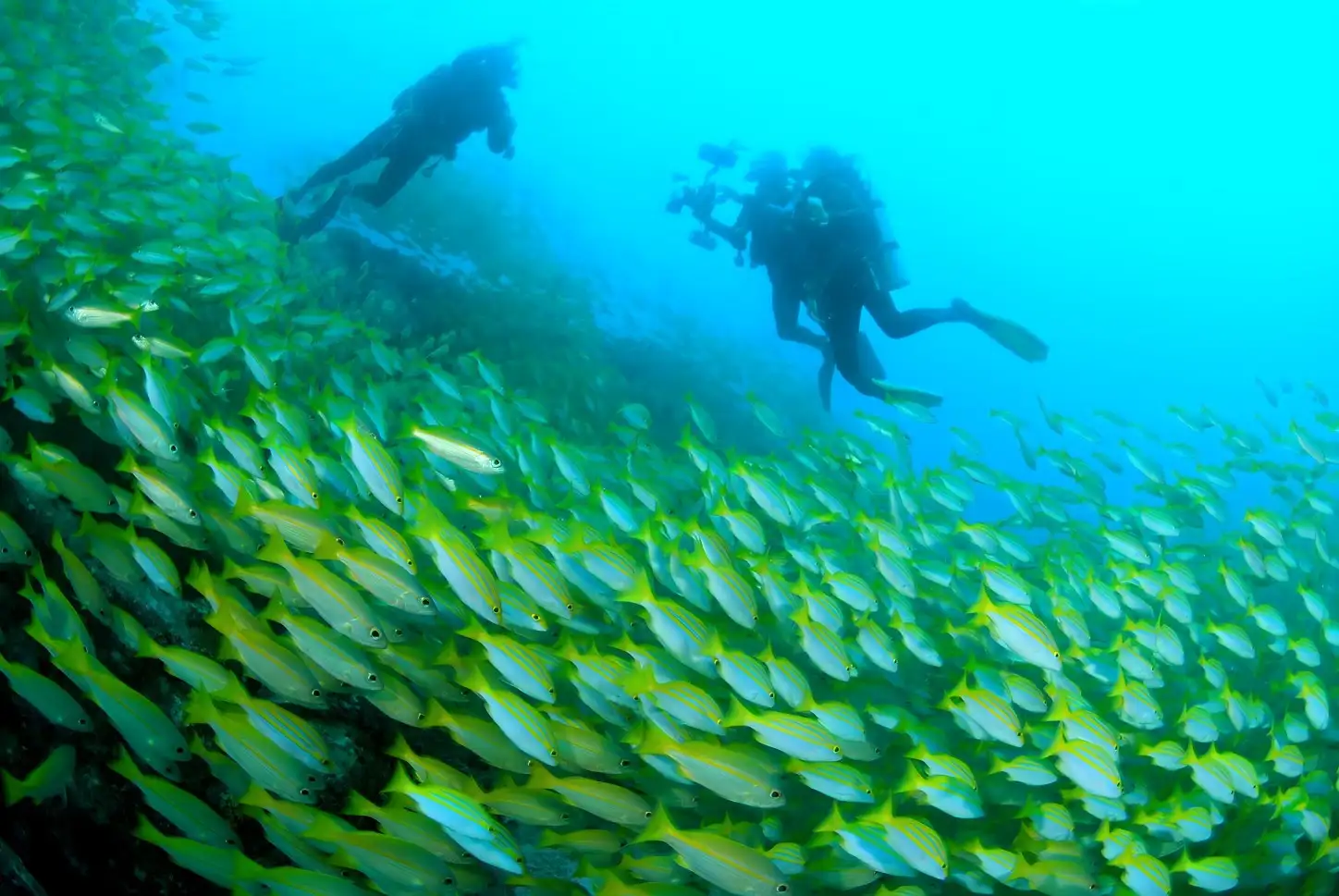 At Blue Sea Divers, we prioritize exceptional, safe diving experiences.