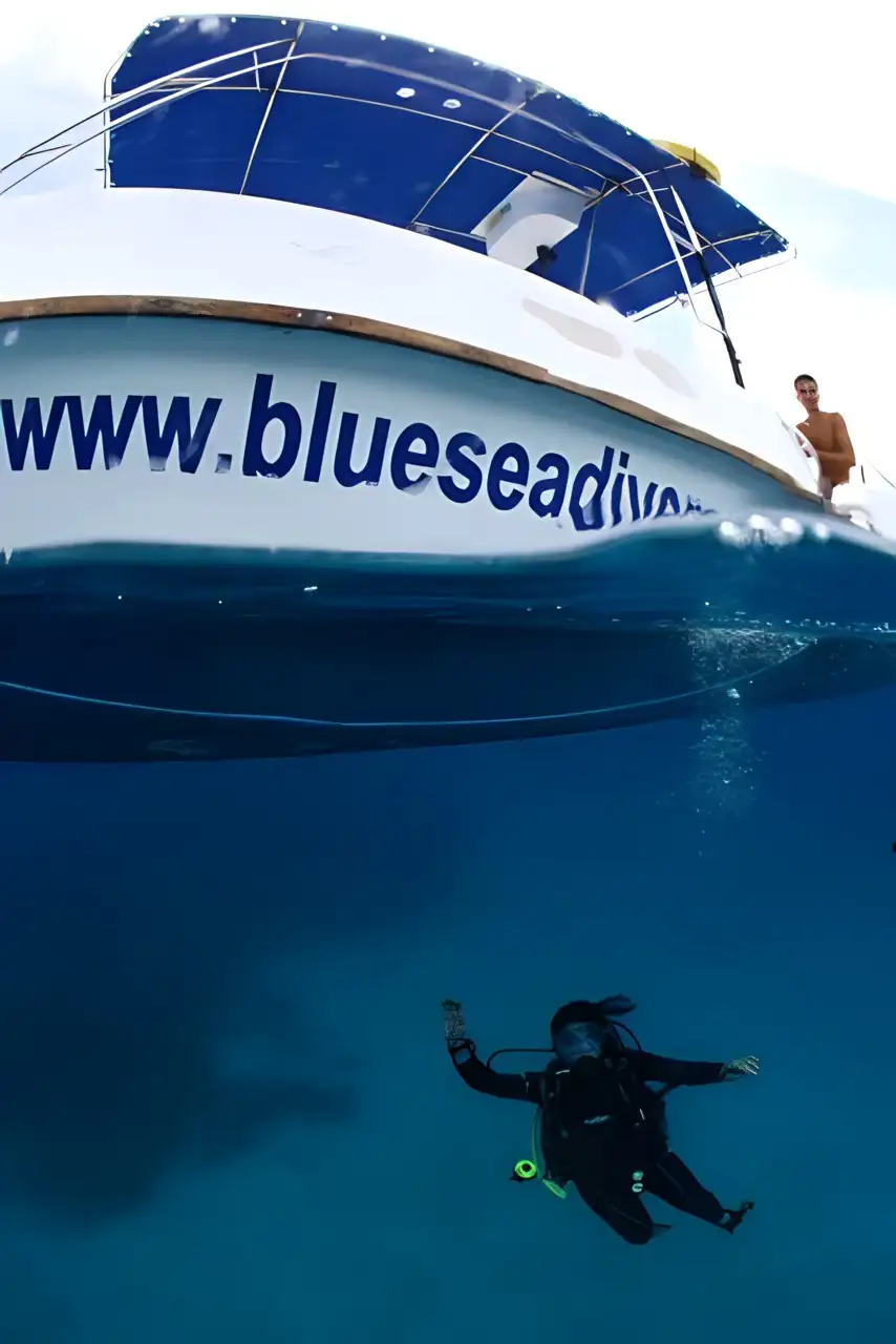 At Blue Sea Divers, we prioritize exceptional, safe diving experiences.