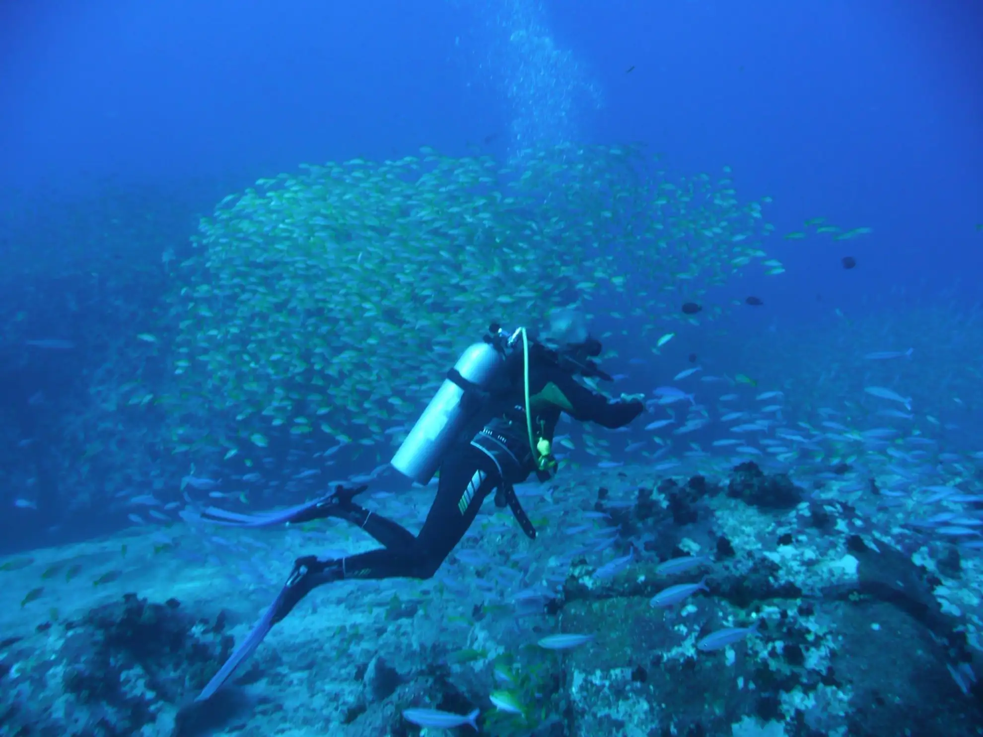 At Blue Sea Divers, we prioritize exceptional, safe diving experiences.