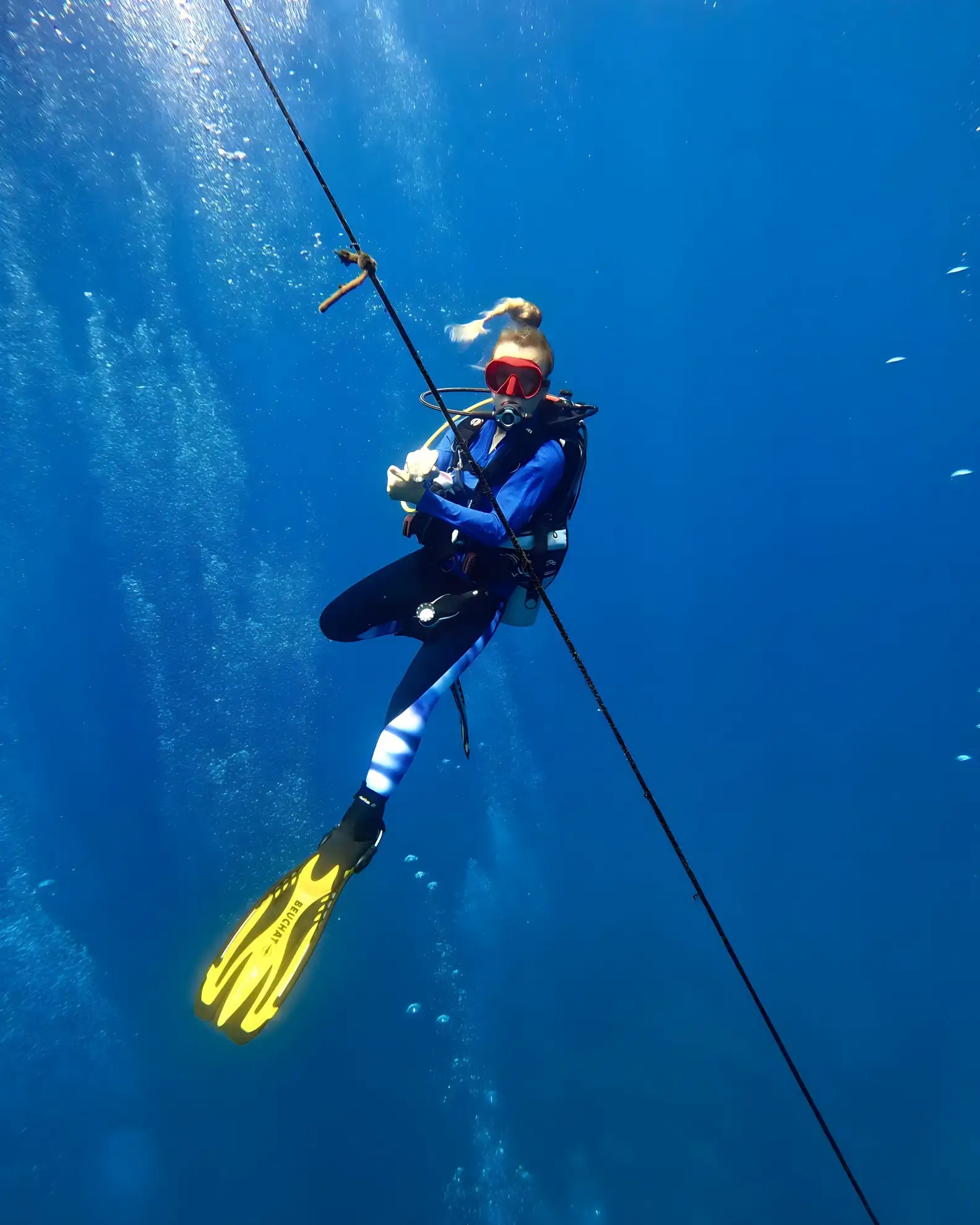 Dive Seychelles Underwater Centre Diving Experience