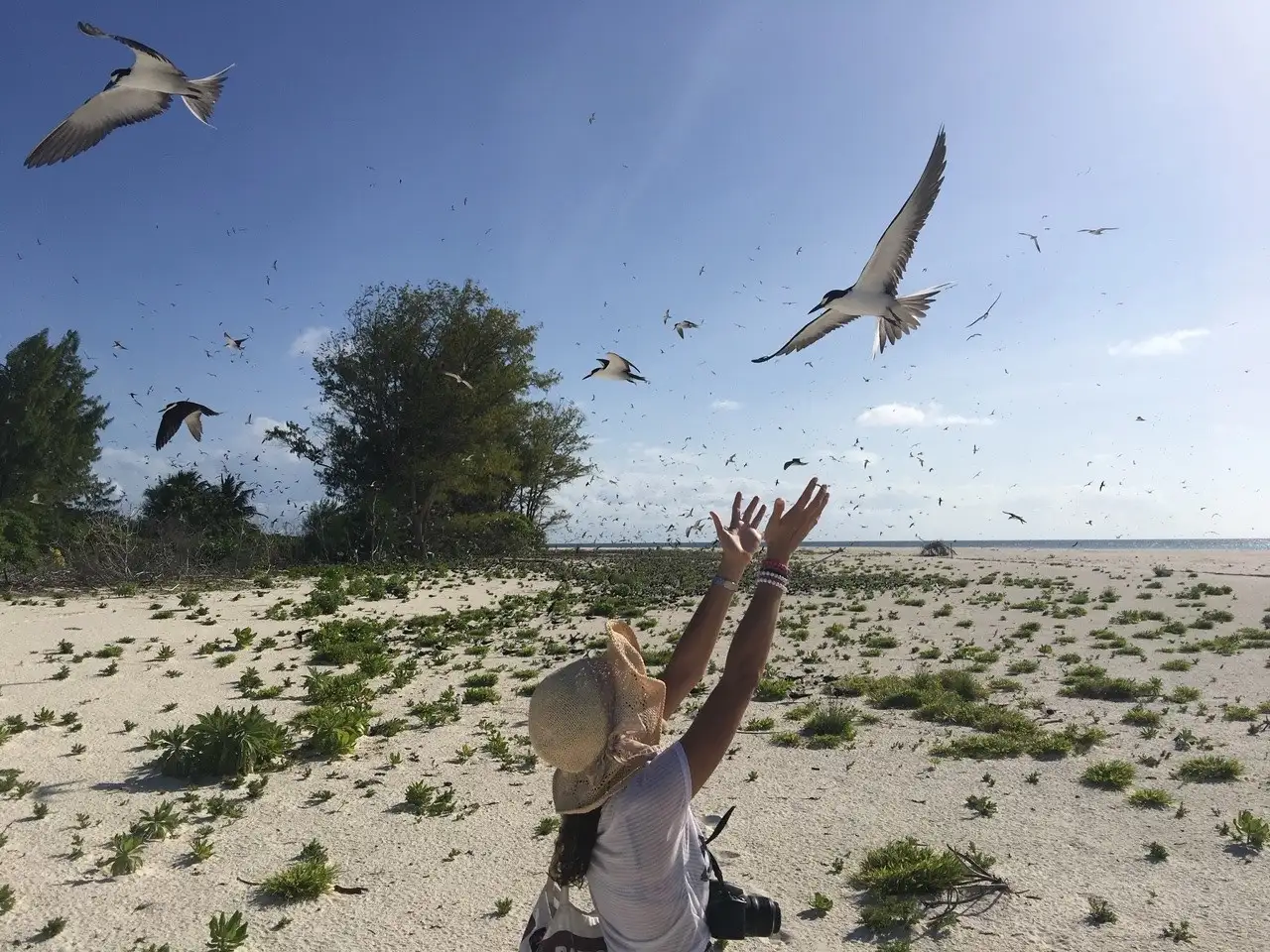 Experience the Seychelles like a true islander with our self-catering villas, providing an authentic and immersive stay.